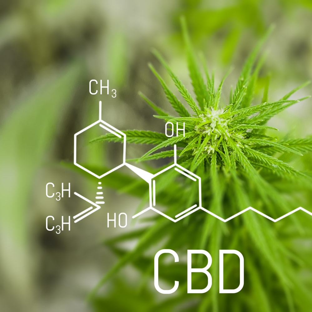 Natural_Cannabis_CBD.tiff