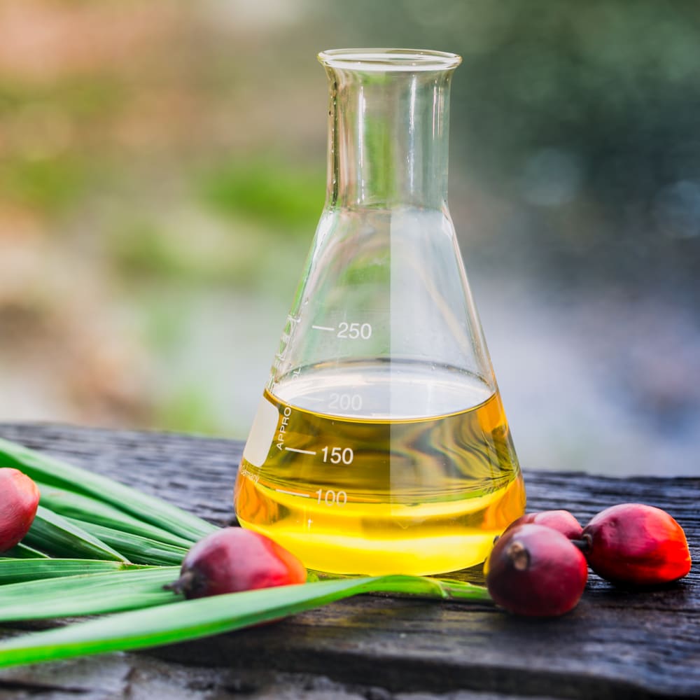 Food_Palm_Oil_Flask.tiff