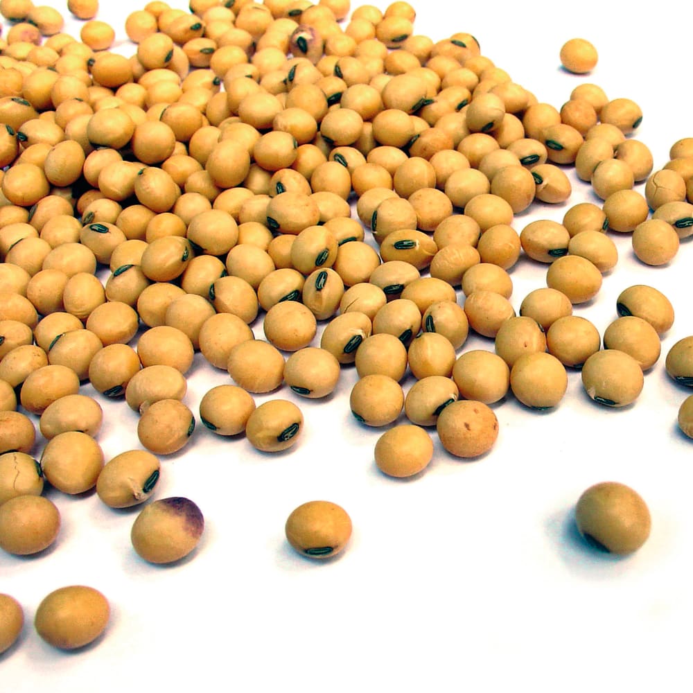 Monitoring raw material quality in the feed industry