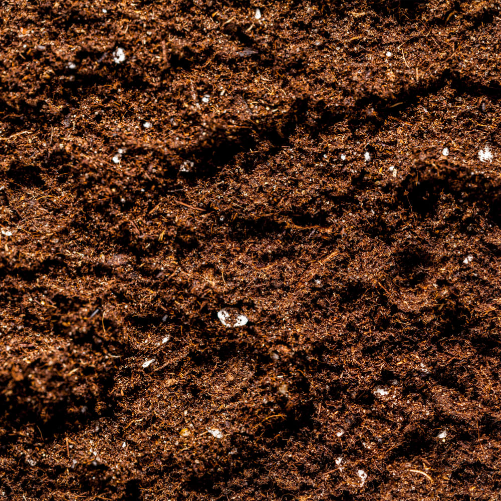 Determination of Dioxins and Furans in Soil using the SpeedExtractor E-916