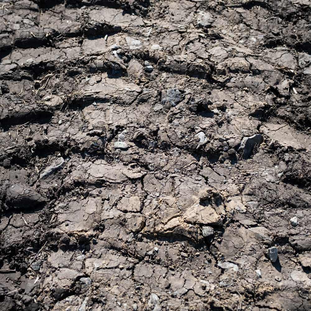 Per and polyfluoroalkyl substances (PFAS) in soil