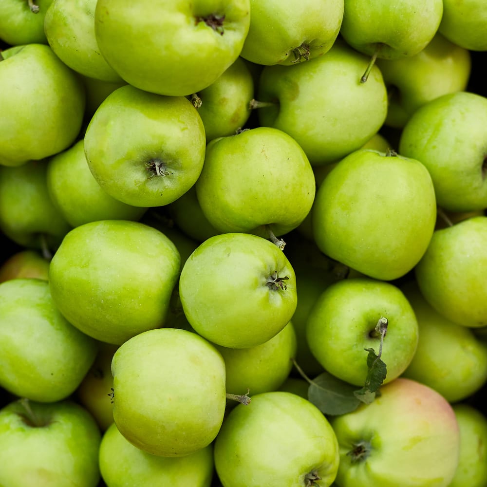 Lyophilisation of apples