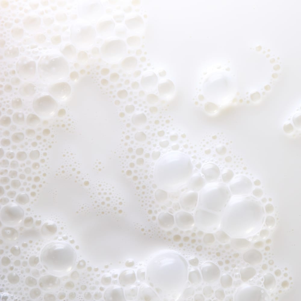 Casein determination in milk using micro-Kjeldahl