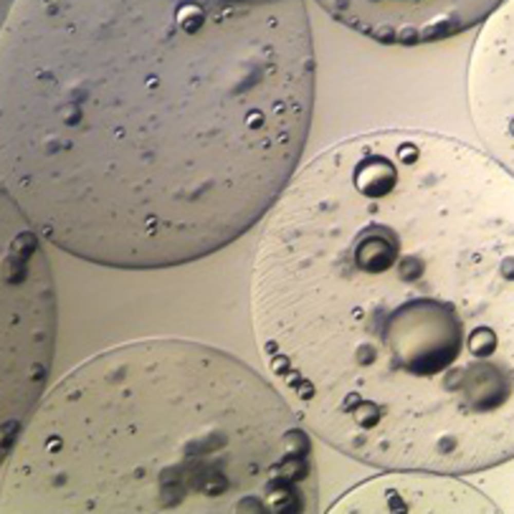 Encapsulation of hydrophobic liquids within microbeads