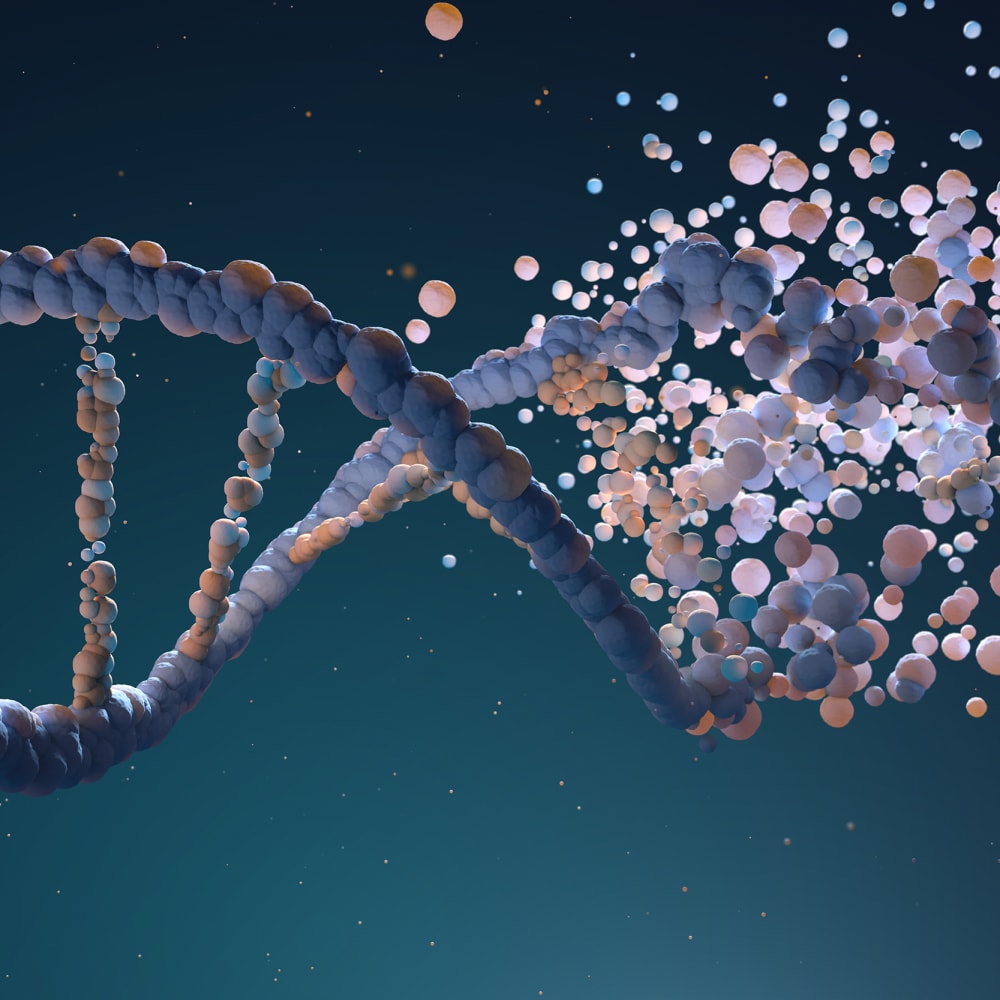 Stabilizing Oligonucleotides by freeze-drying