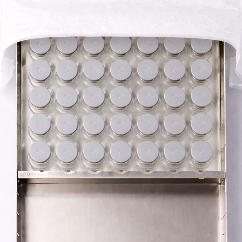 Contamination-free and sterile freeze-drying using lyophilization bag