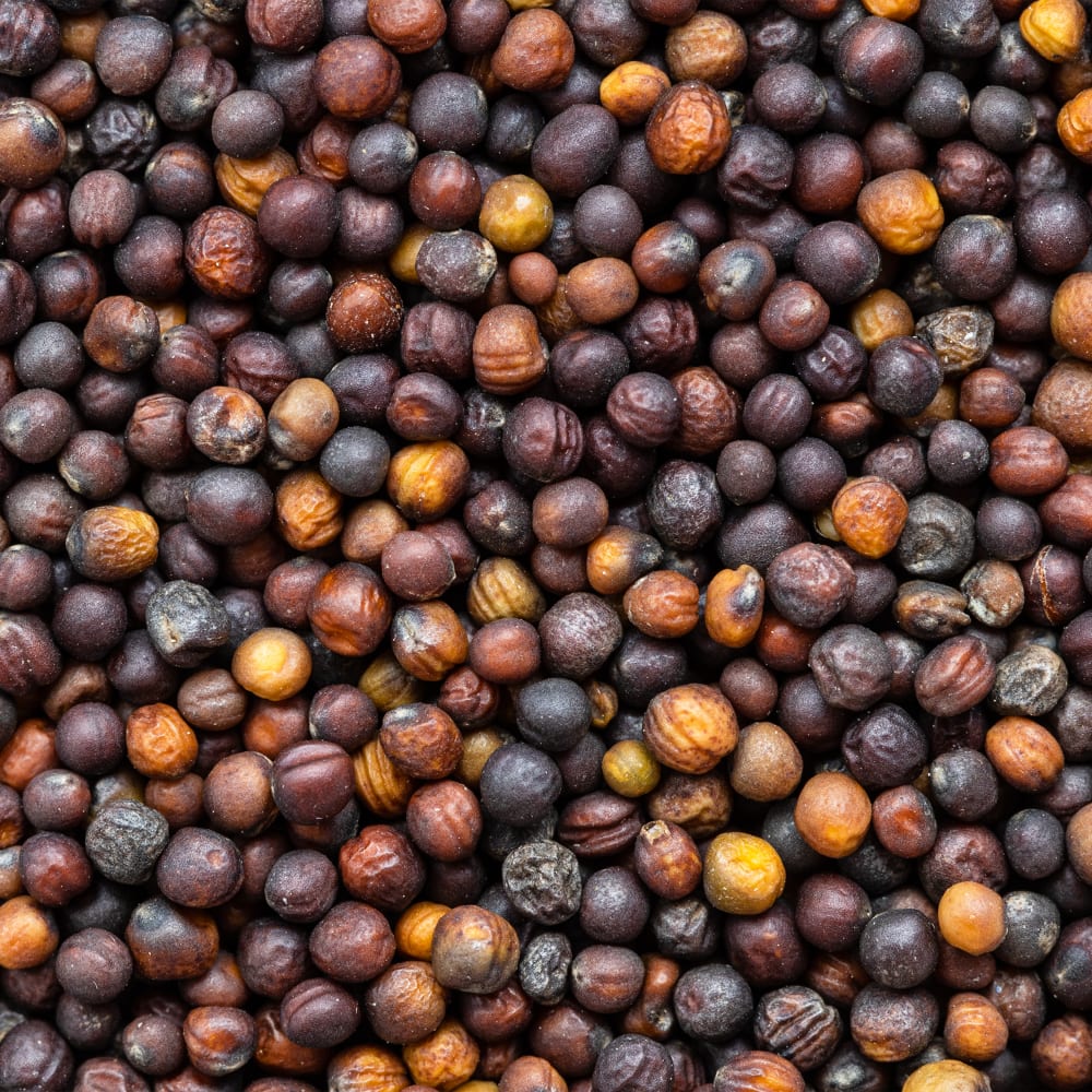 Rapeseed