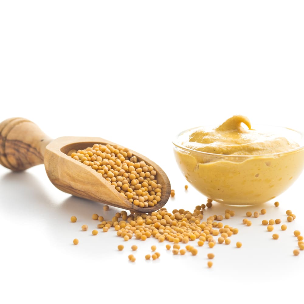 Spray Drying of Mustard