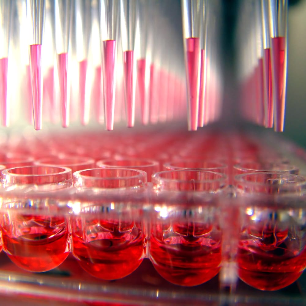 Quality improvement of common solvents by distillation using the Rotavapor® R-100