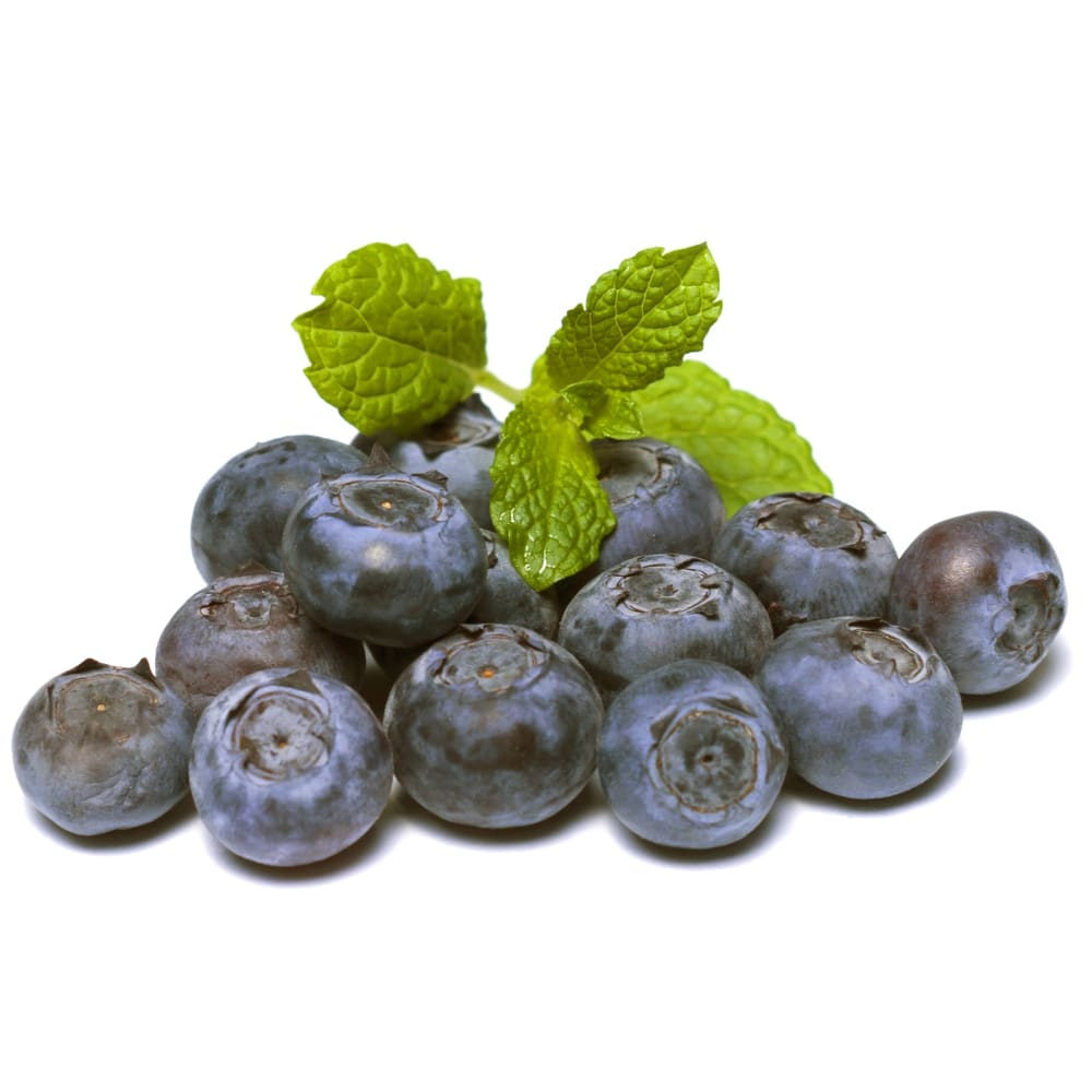 Anthocyanoside extract (Bilberry extract)