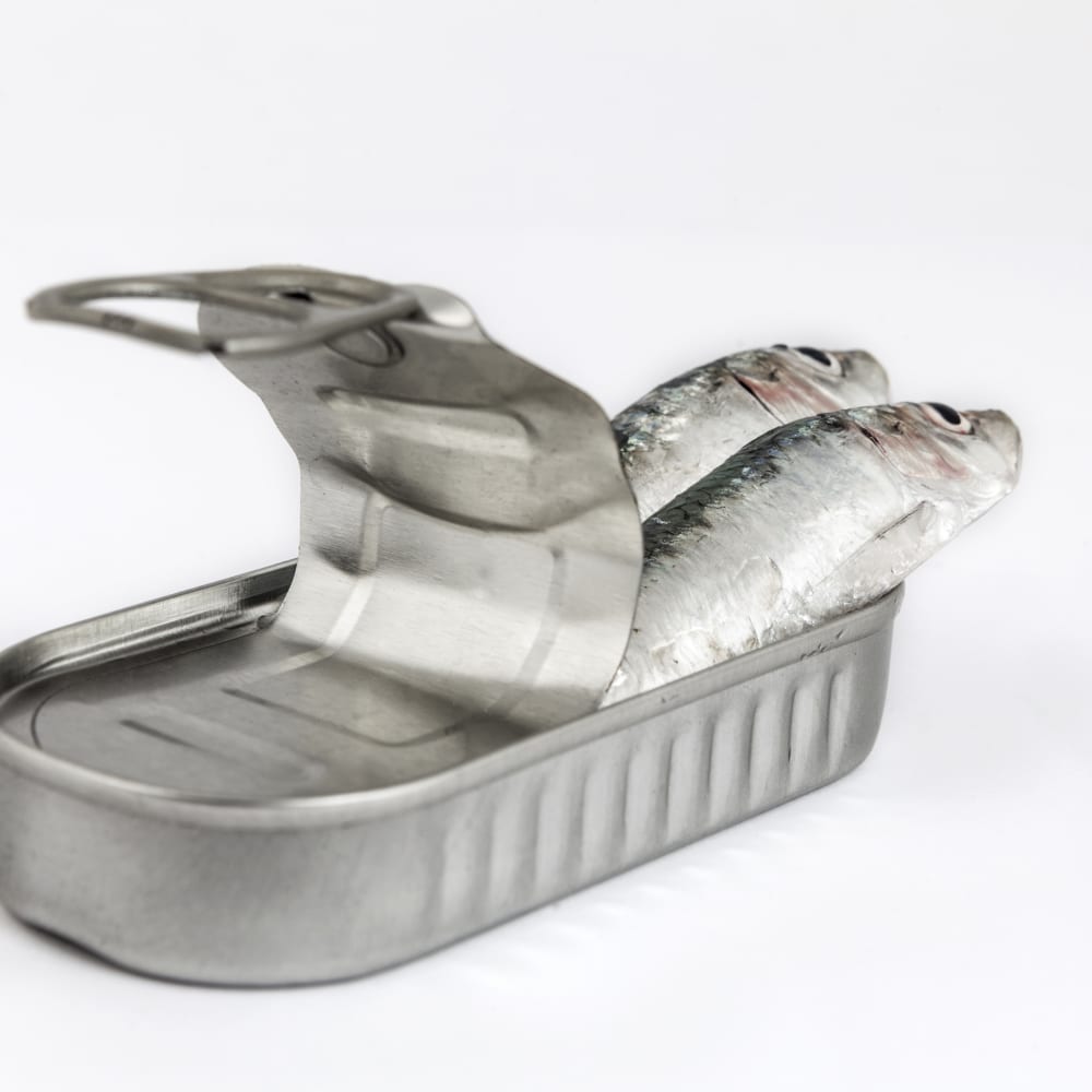 Extraction of PCDD/Fs and PCBs in fish using SpeedExtractor E-914