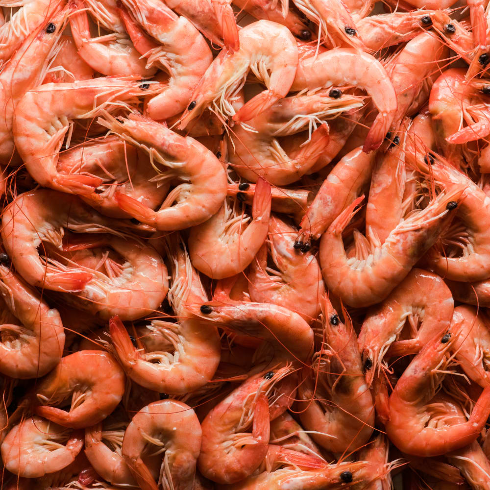 Total SO2 content determination in shrimp paste by modified Monnier-Williams Method