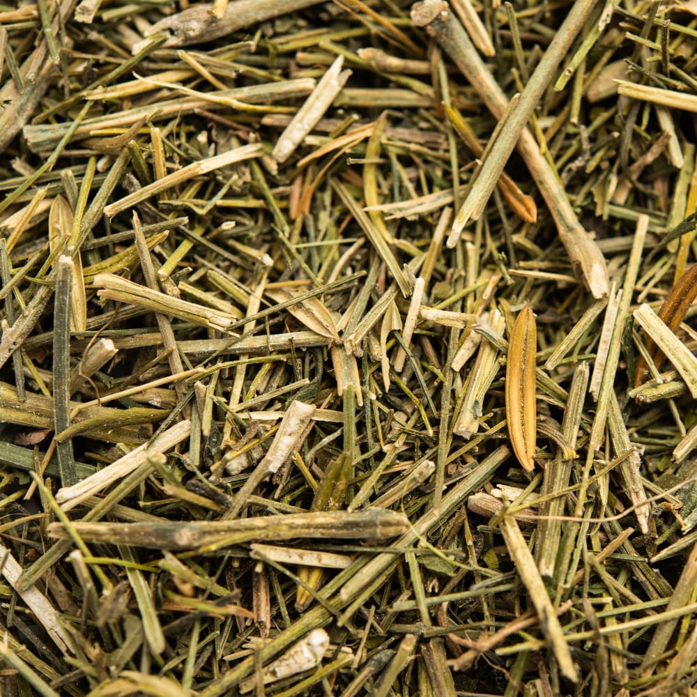 Feed and Forage