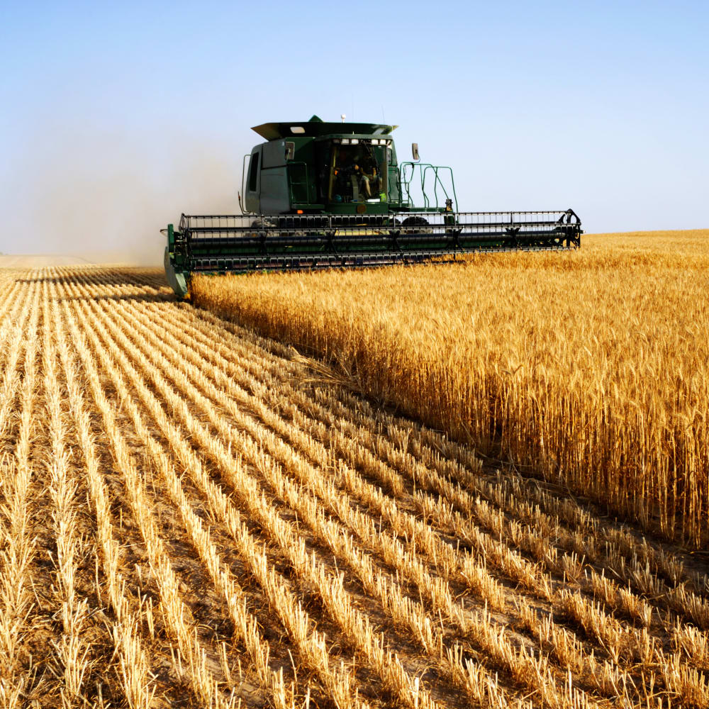 Chemicals / Fertilizers