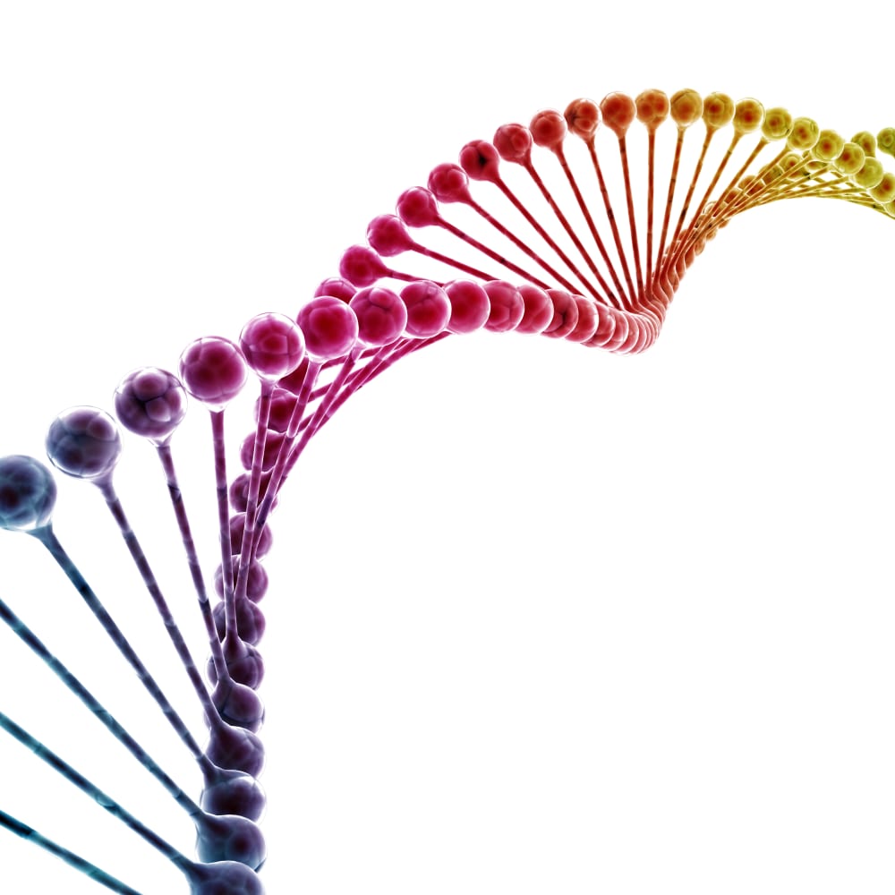 Spray Drying of Plasmid DNA