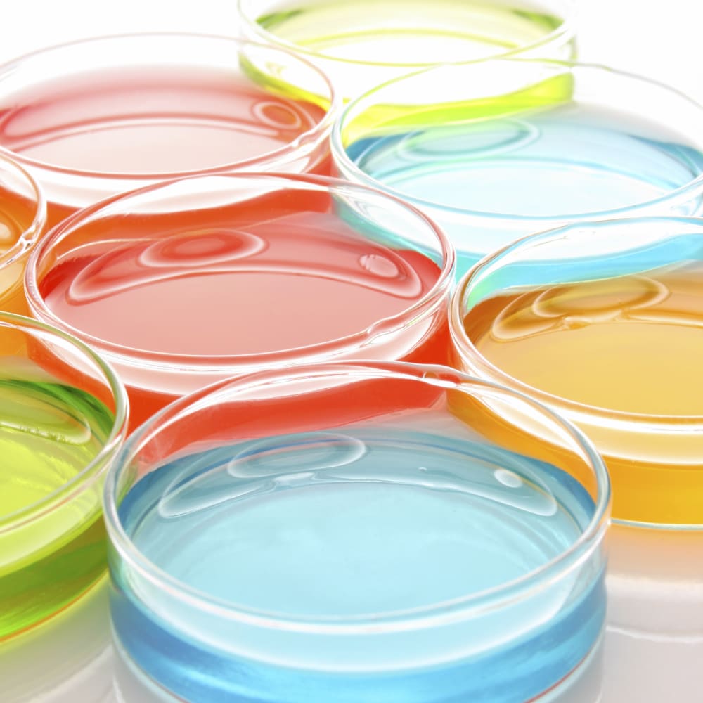 Nano Spray Drying of Bovine Serum Albumin