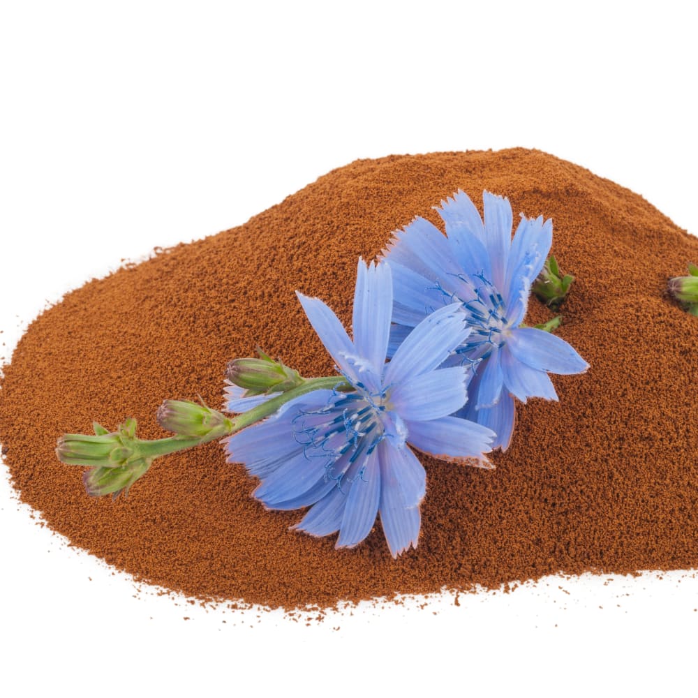 Spray Drying of Chicory extract