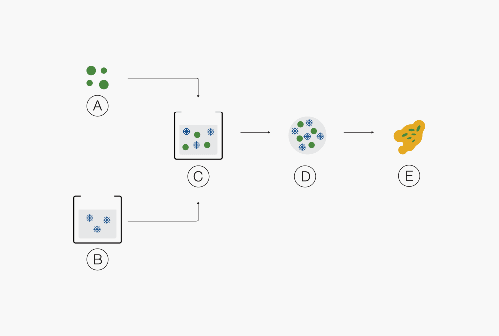 Spray_Drying_01_Figure_Encapsulation_of_solids.tiff