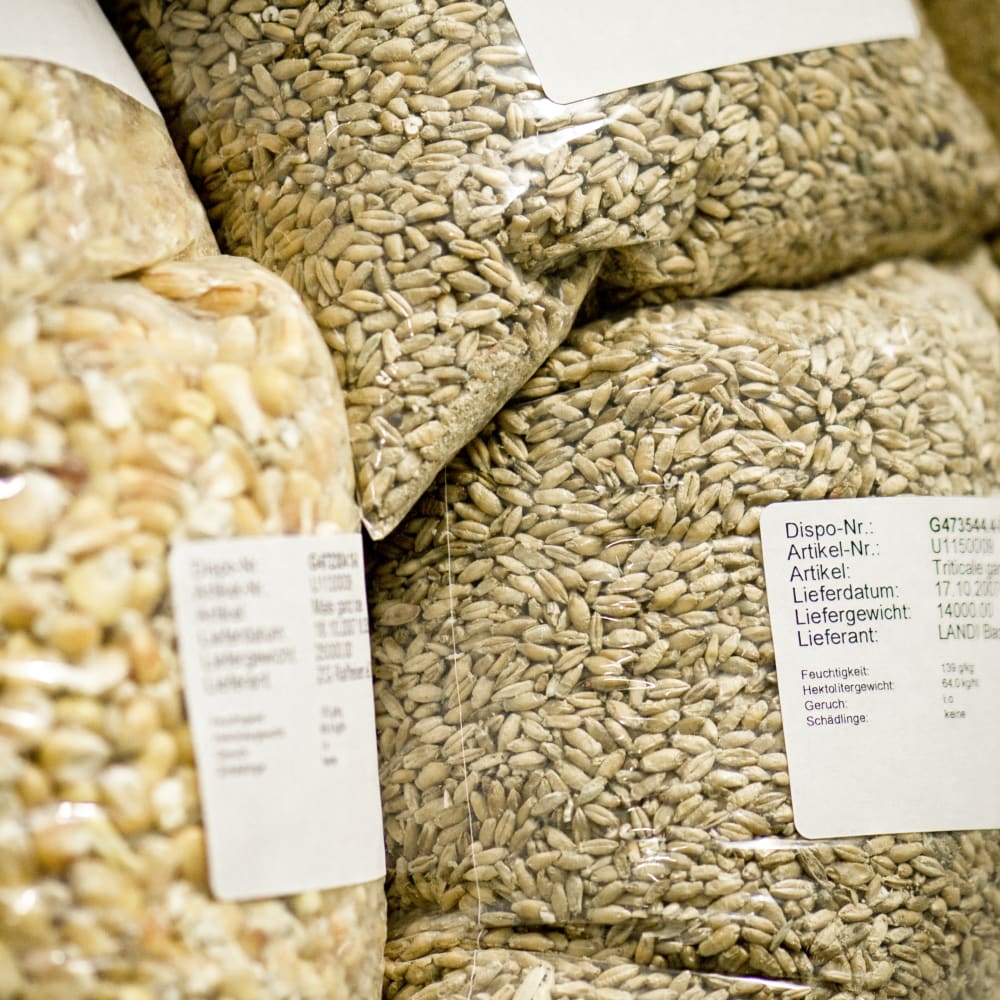 Nitrogen & protein determination in feed