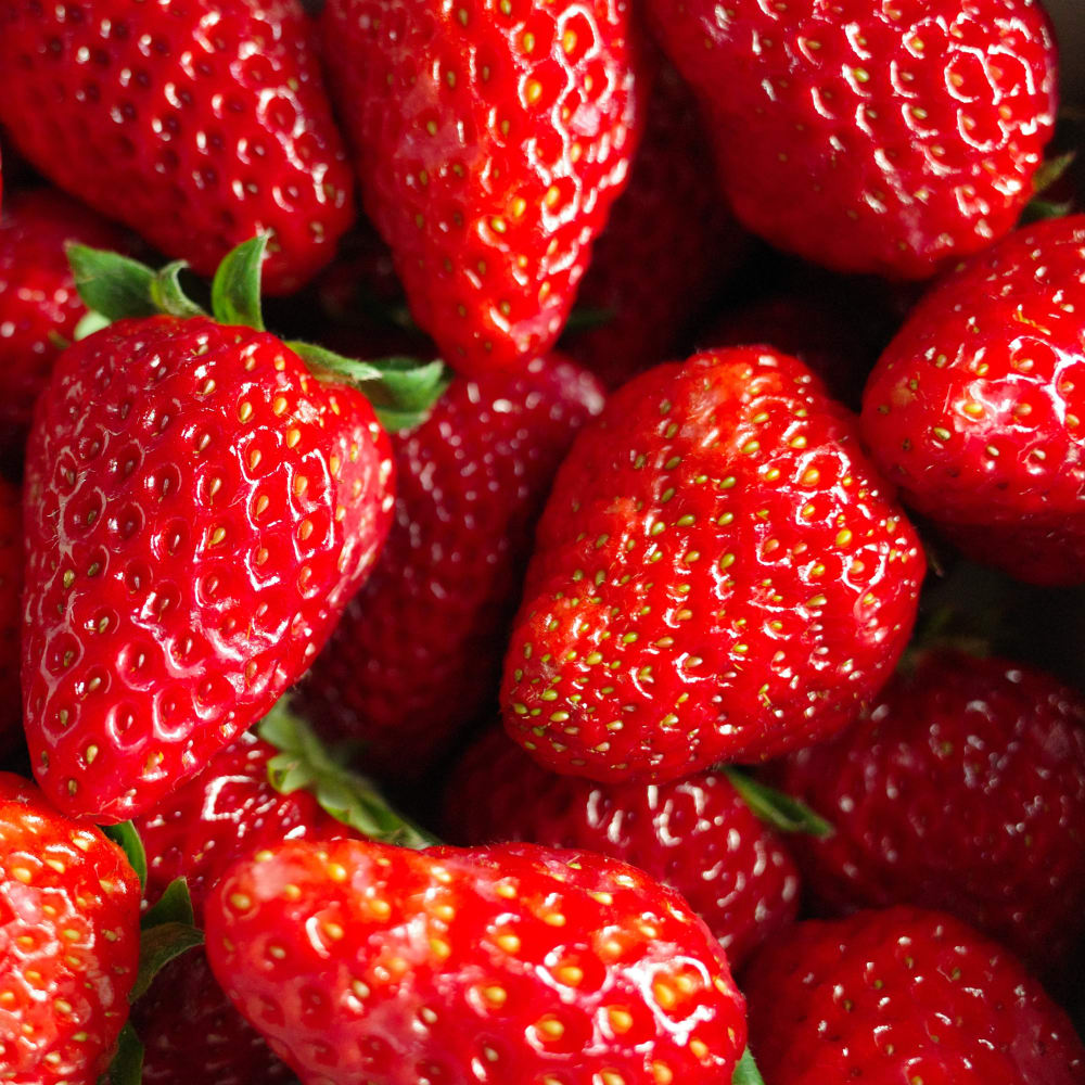 Lyophilisation of strawberries