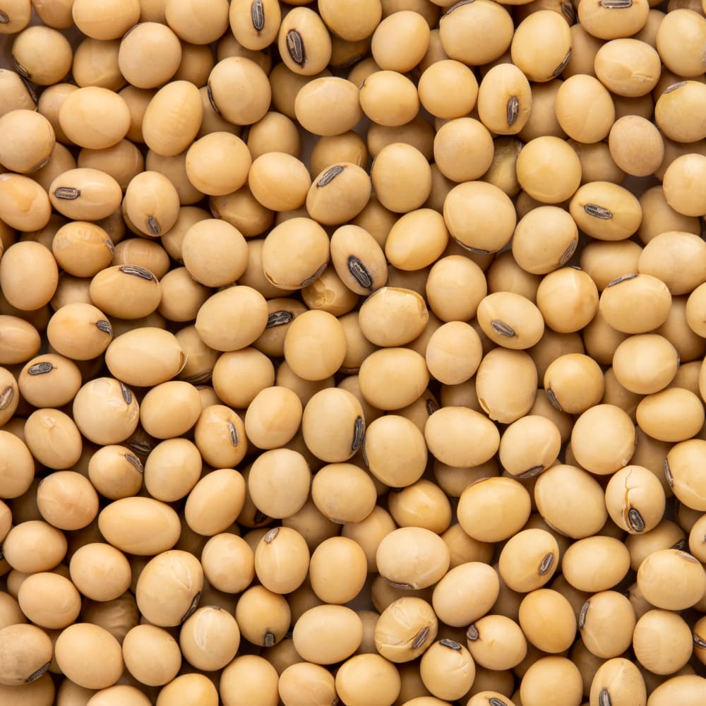 Soybeans
