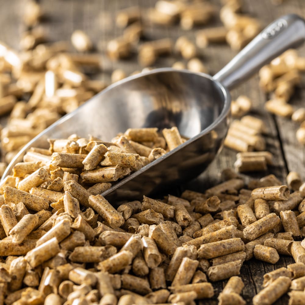 Crude and total fat determination in feed samples by Hot Extraction