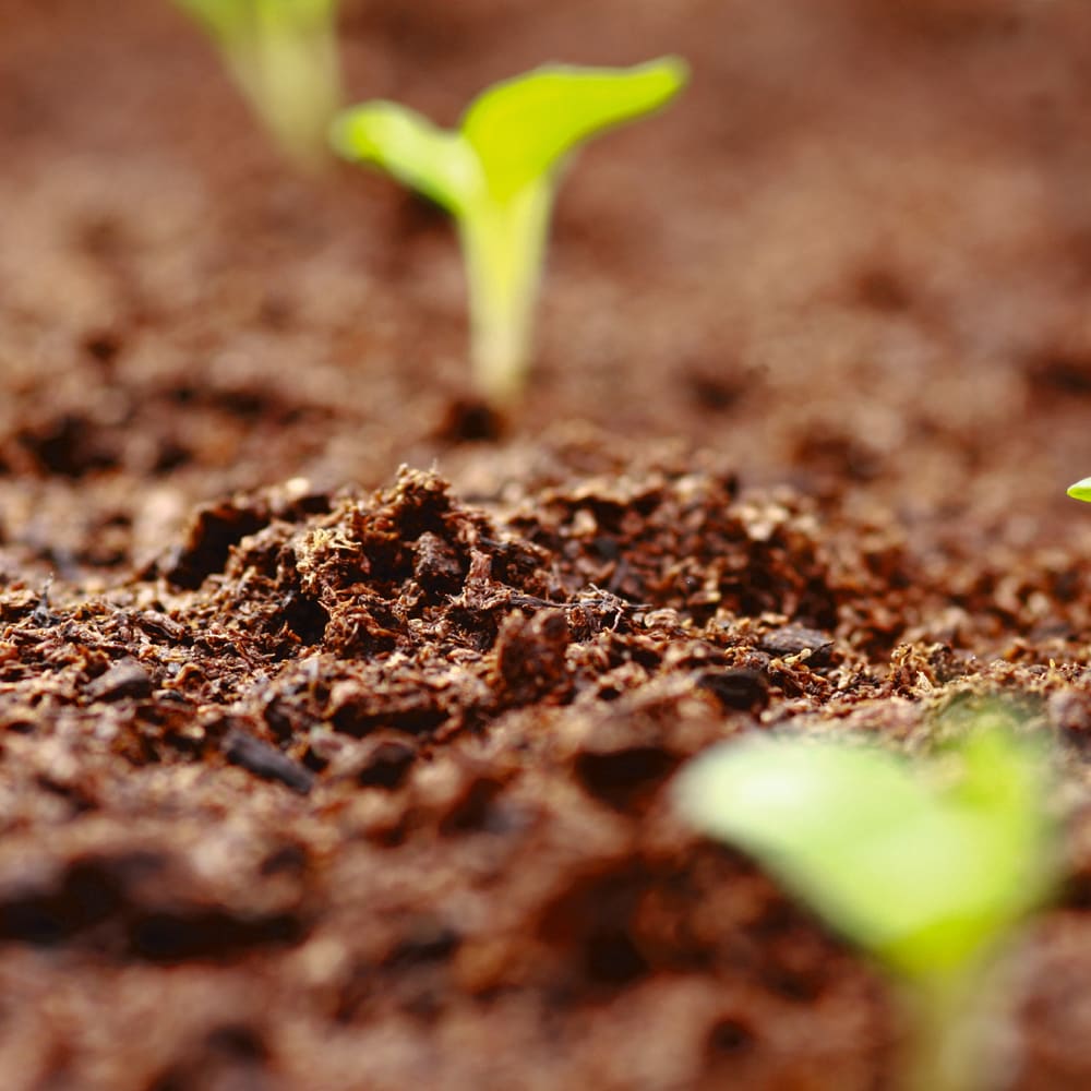 Biodegradable Polymers from Industrial Compost