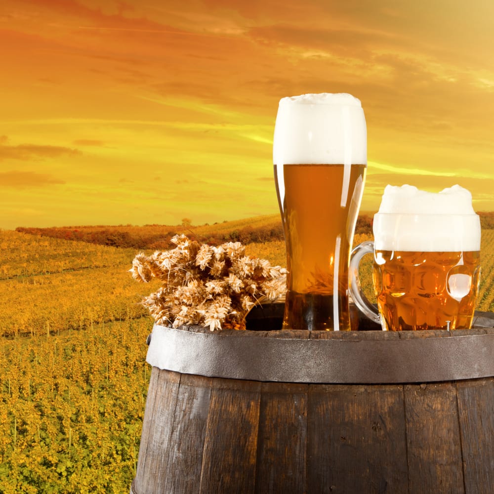 Nitrogen & protein determination in beer and malt