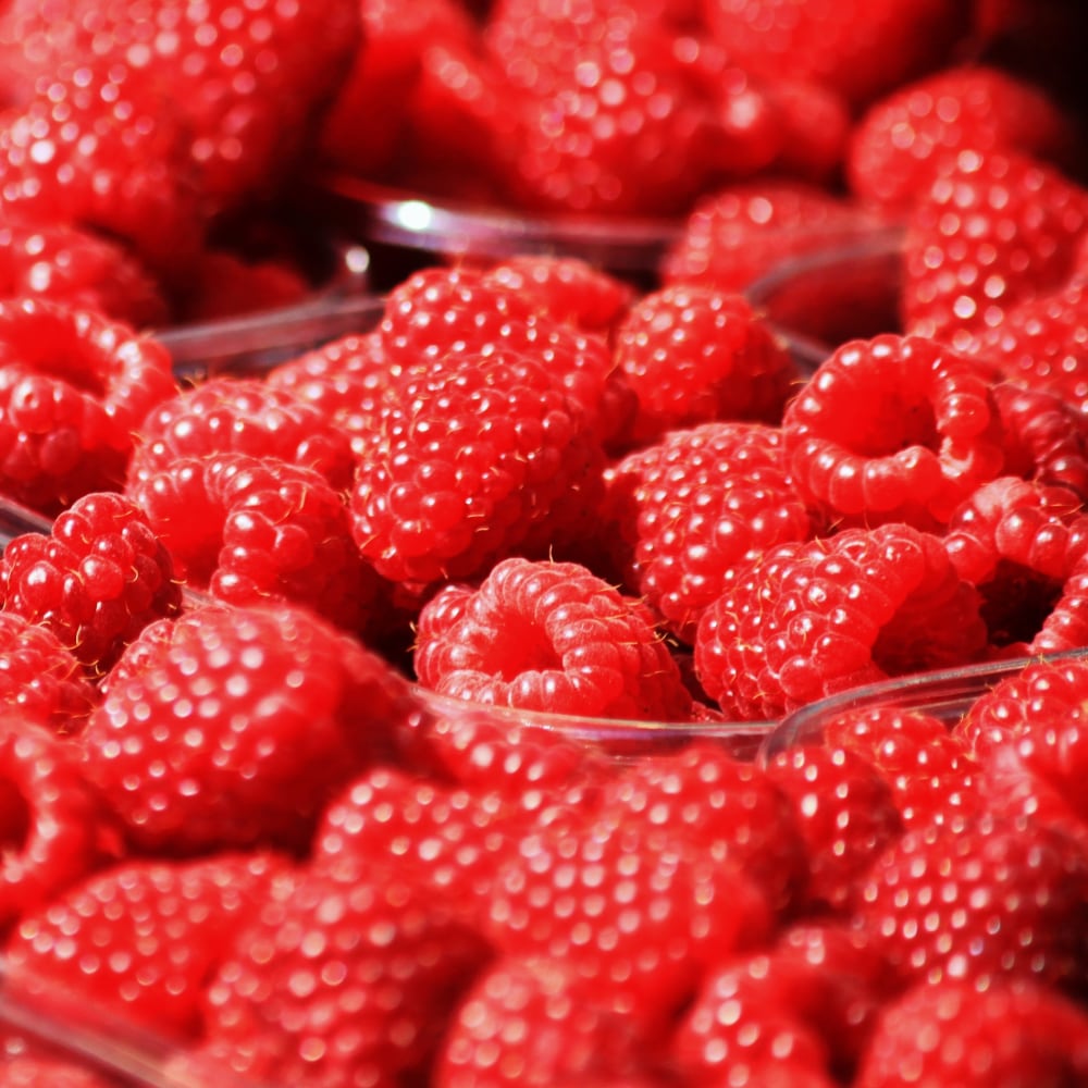Spray Drying of Raspberry concentrate