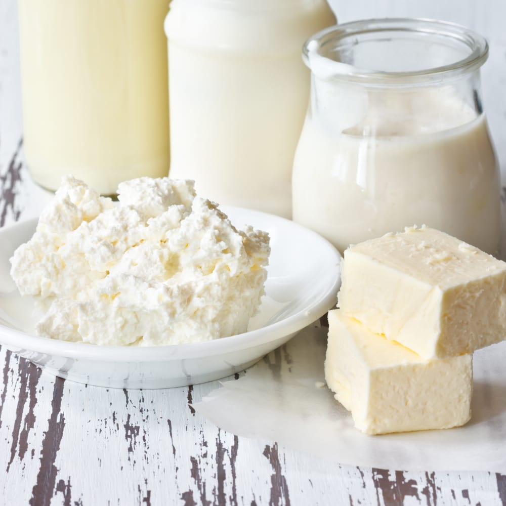 Protein determination and nitrogen and in dairy products