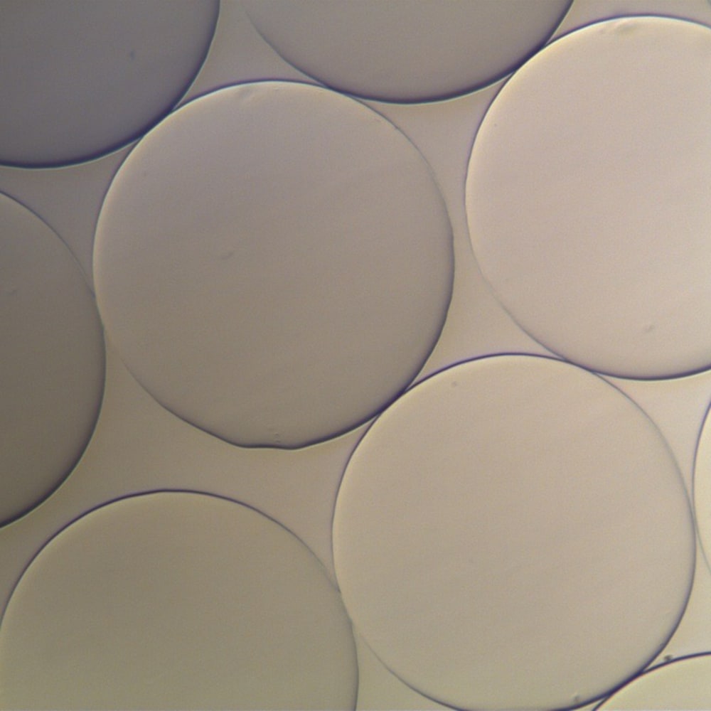 Novel k-carrageenan and k-carrageenan-alginate beads
