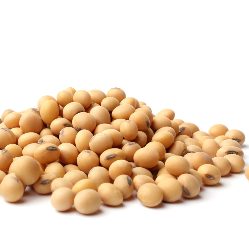 Oil in Soybeans according to AOCS Am 2-93