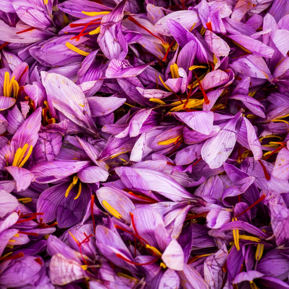 Isolation of main compounds from Crocus savitus by SFC