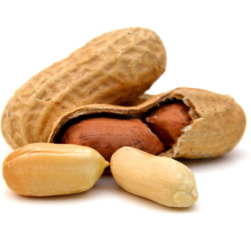 Oil determination in peanuts by Twisselmann extraction