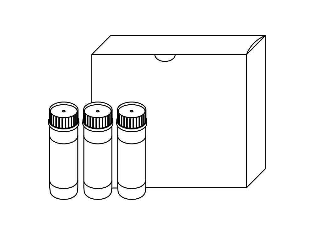 11055019.svg