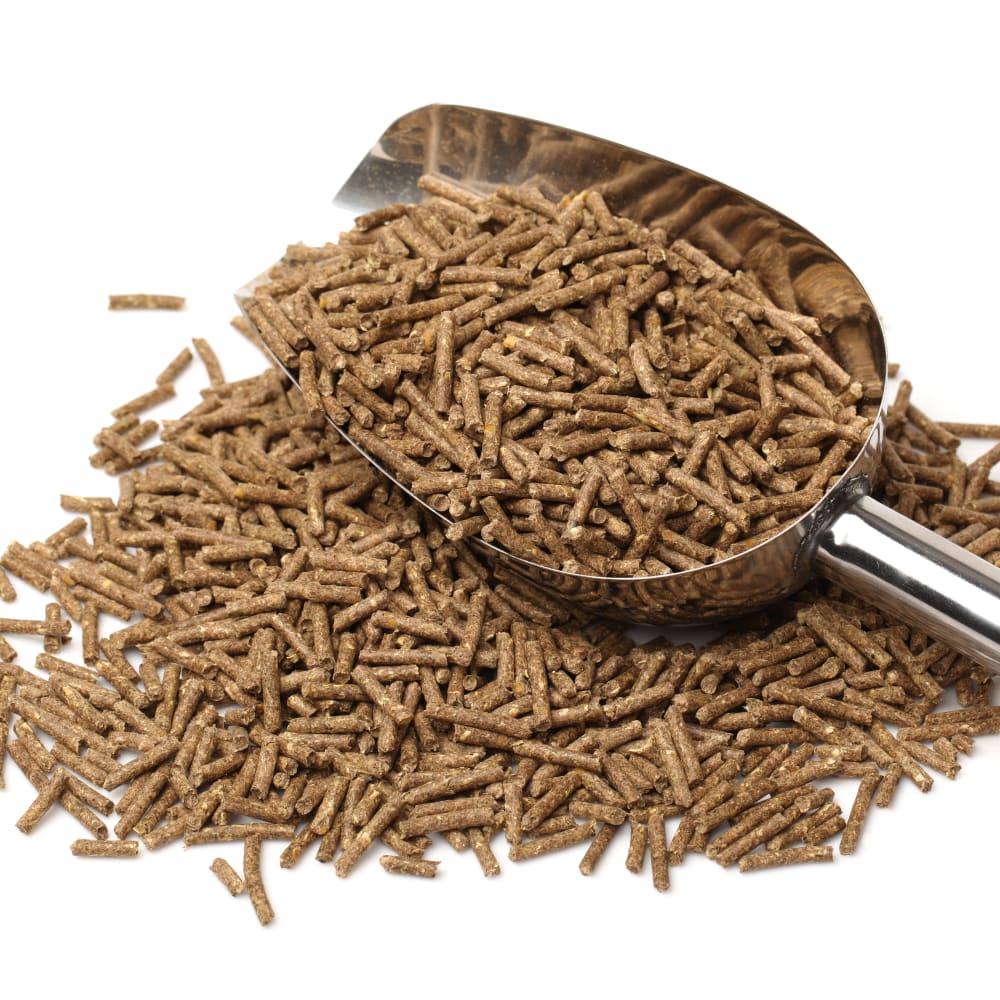 Crude and total fat determination in a feed sample by Soxhlet