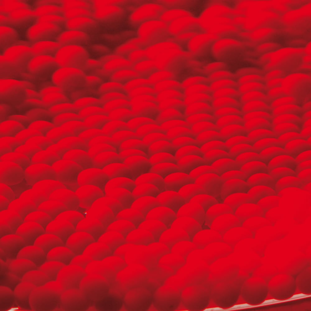 Encapsulation of probiotics in whey protein beads