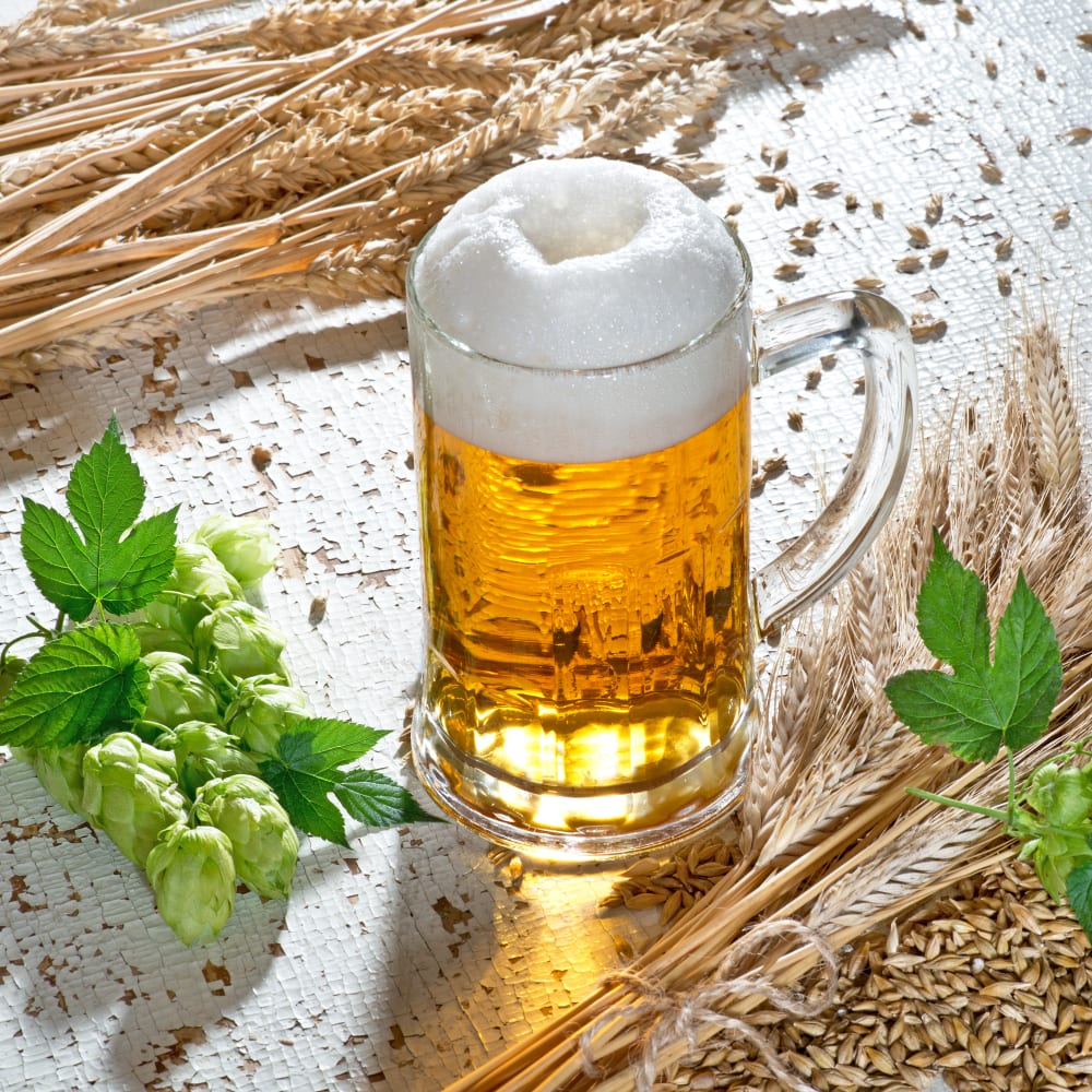Nitrogen and protein determination in beer and malt (Kjeldahl)