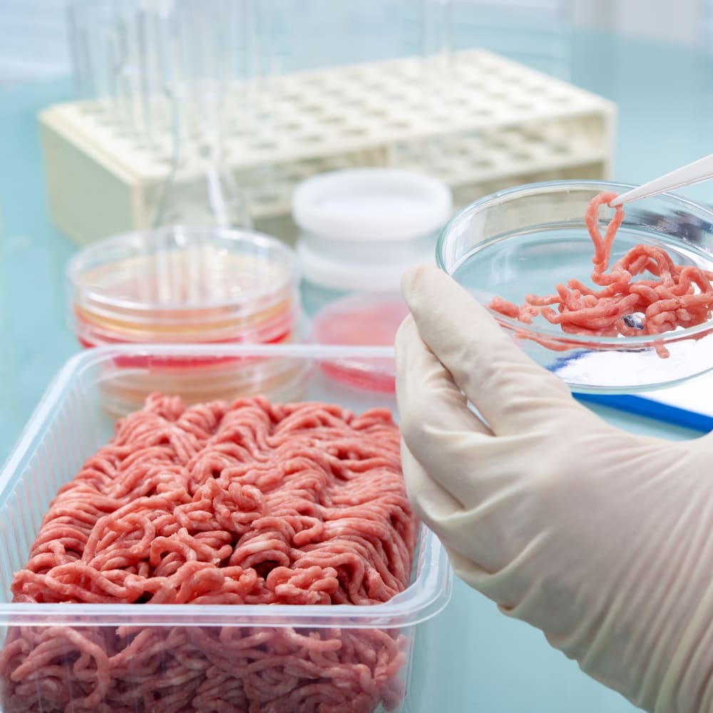 Nitrogen & protein determination in meat products