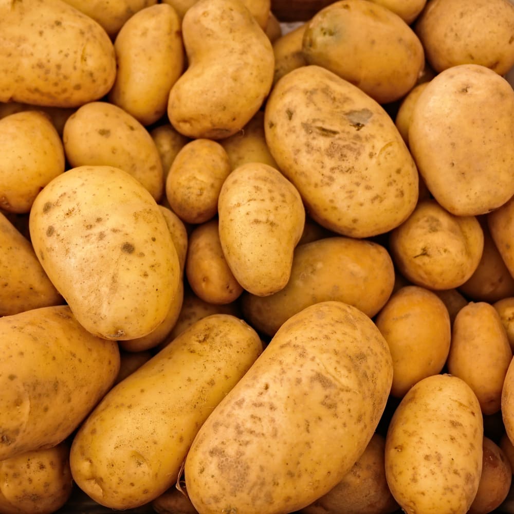 Sulfur dioxide determination in potato powder