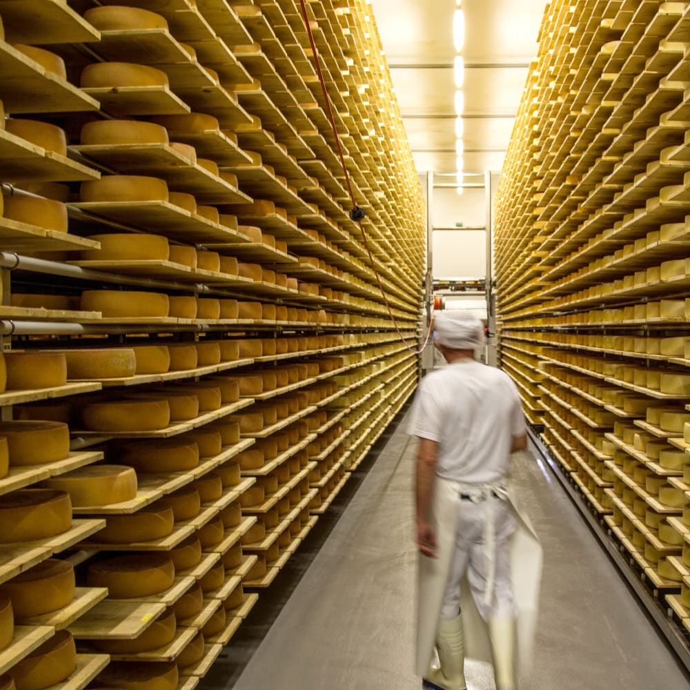 Monitoring Cheese Blending