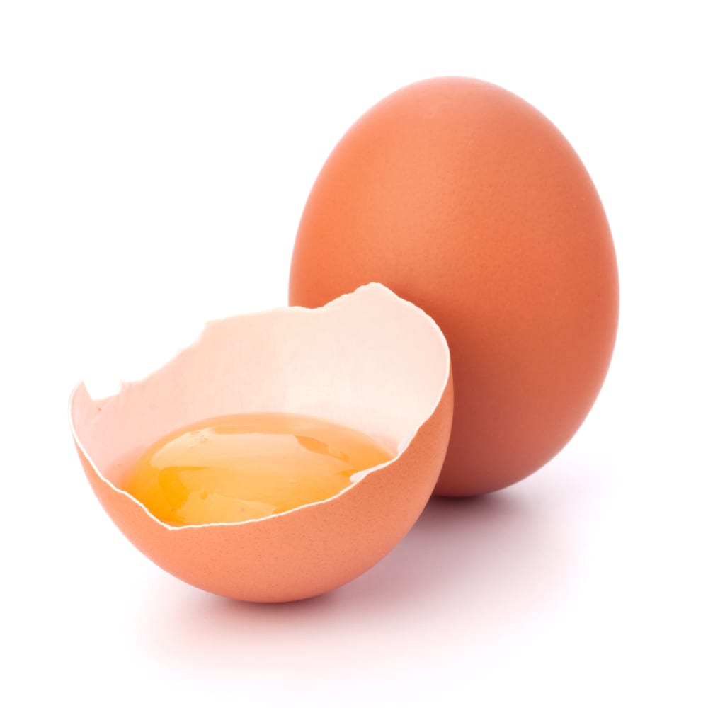 Spray Drying of Egg yolk