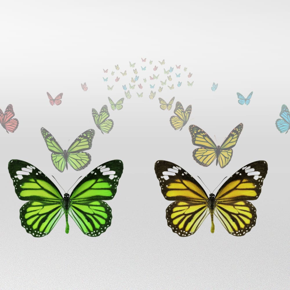 Chromatography essentials to get your separation process up and flying