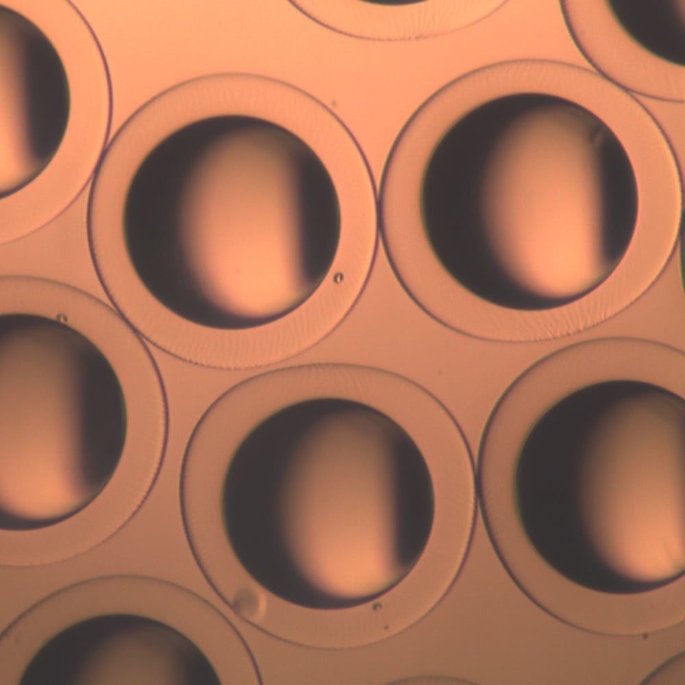 Pollutant removal from water using microcapsules