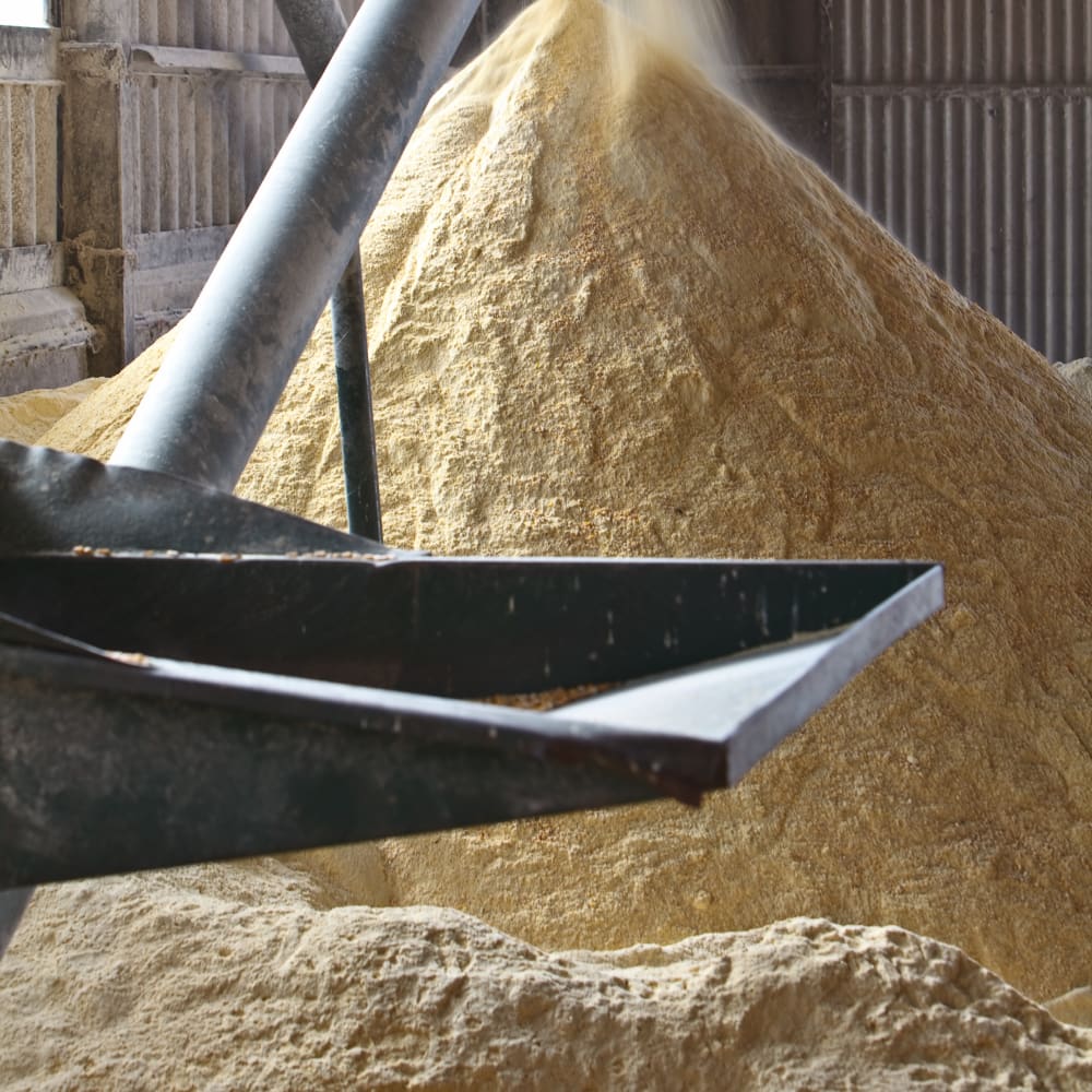 Analyzing Soybean Meal with NIR