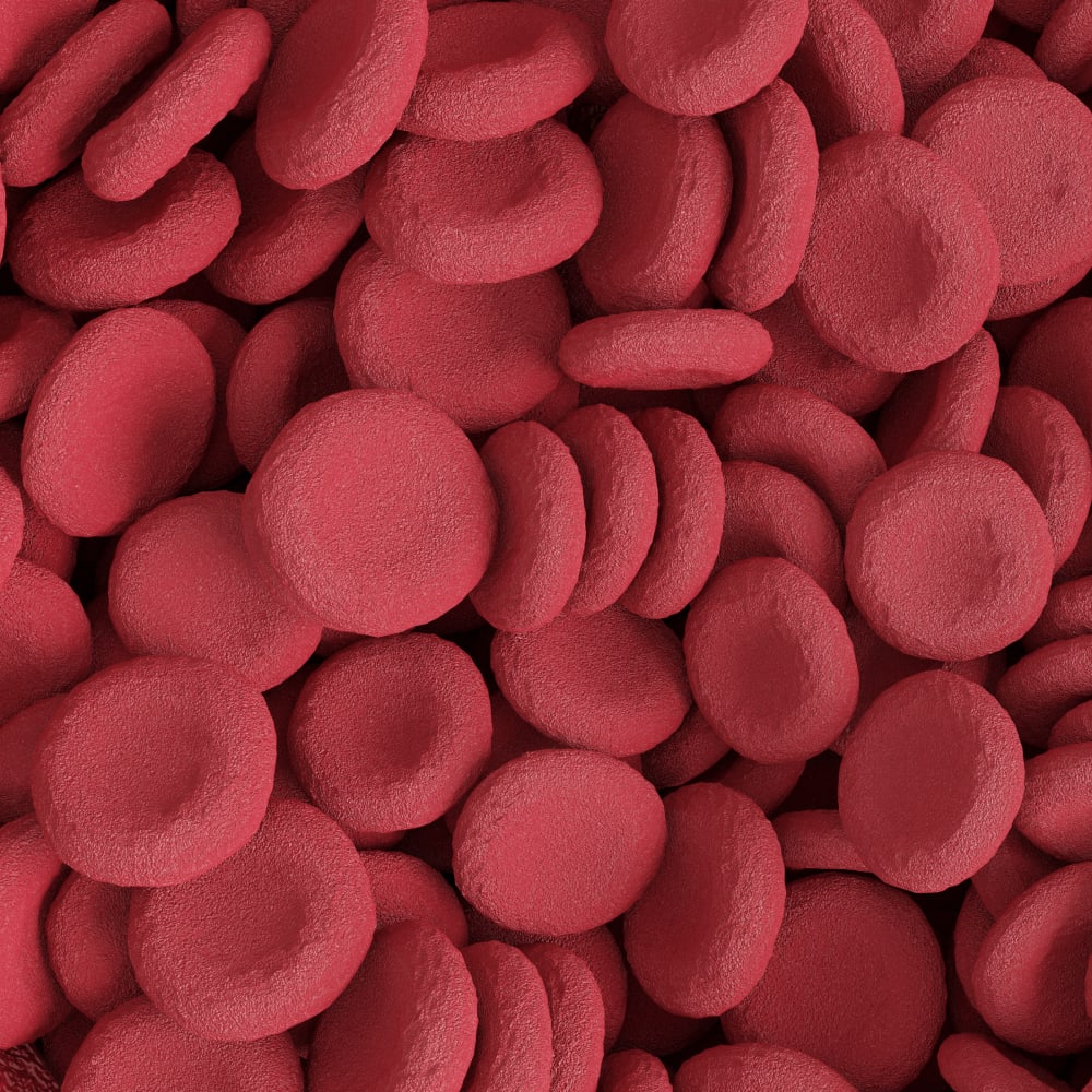 Spray Drying of Blood plasma