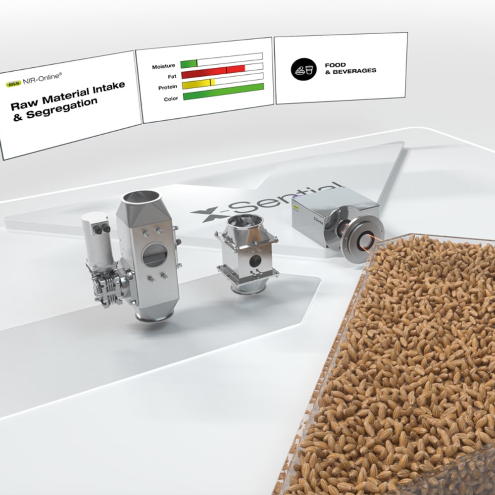 X-Sential_grains.jpg