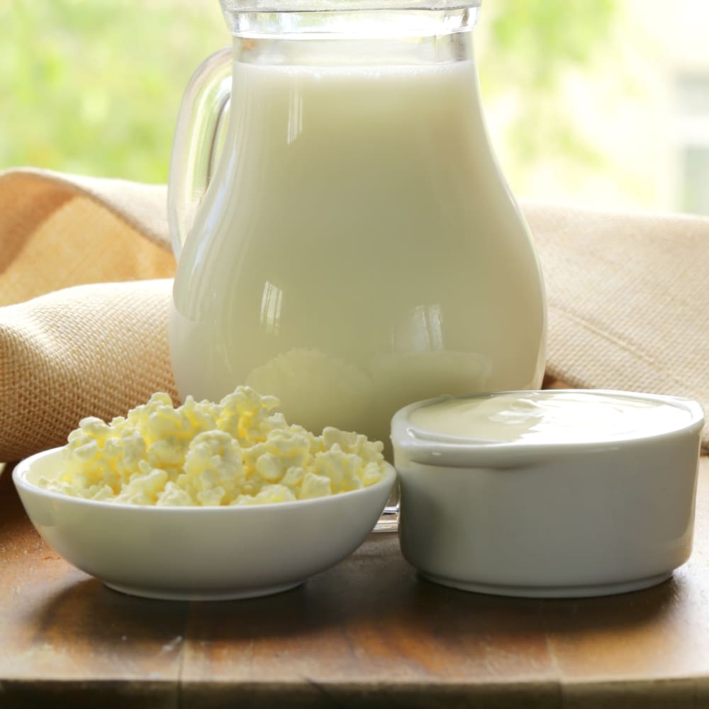 Fat determination in Yoghurt and Curt Cheese using the SpeedExtractor E-916