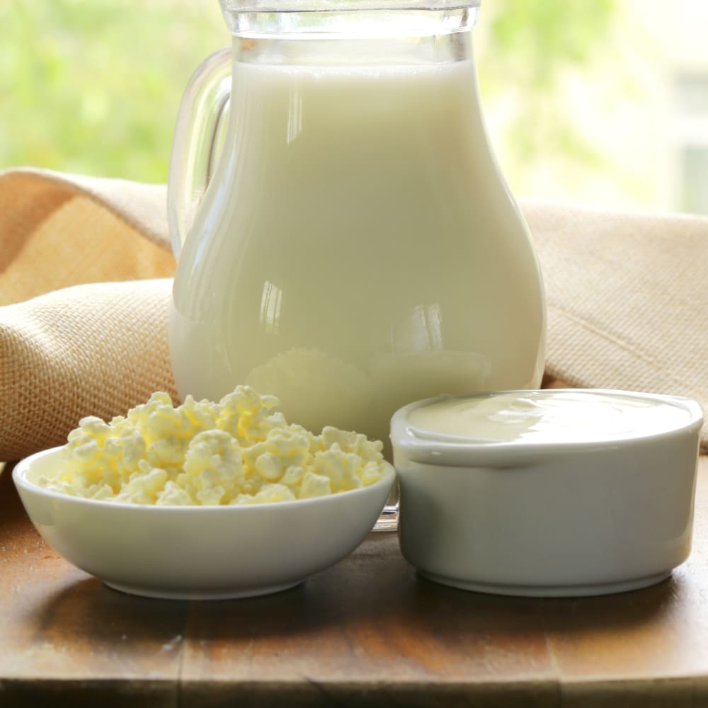Fat determination in dairy products by ECE