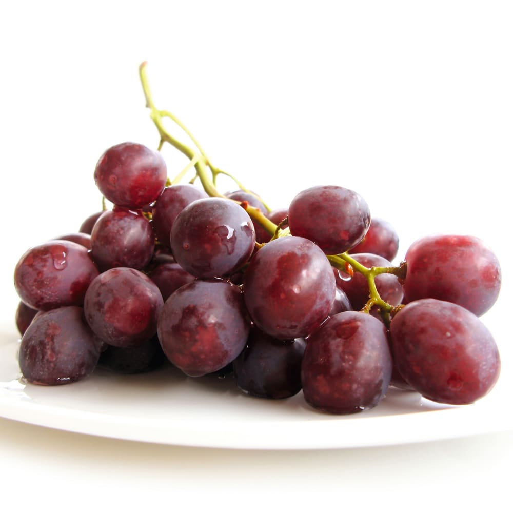 Spray Drying of Grape extract